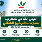 القرض الفلاحي للمغرب يفتح باب الترشيح التلقائي.. أرسل سيرتك الذاتية