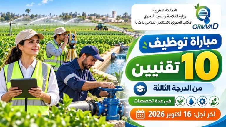 مباراة توظيف 10 تقنيين من الدرجة الثالثة بالمكتب الجهوي للاستثمار الفلاحي لدكالة 2026 في عدة تخصصات – آخر أجل 16 أكتوبر 2026