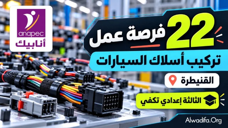 أنابيك تعلن عن 22 فرصة عمل في تركيب أسلاك السيارات بالقنيطرة.. الثالثة إعدادي تكفي