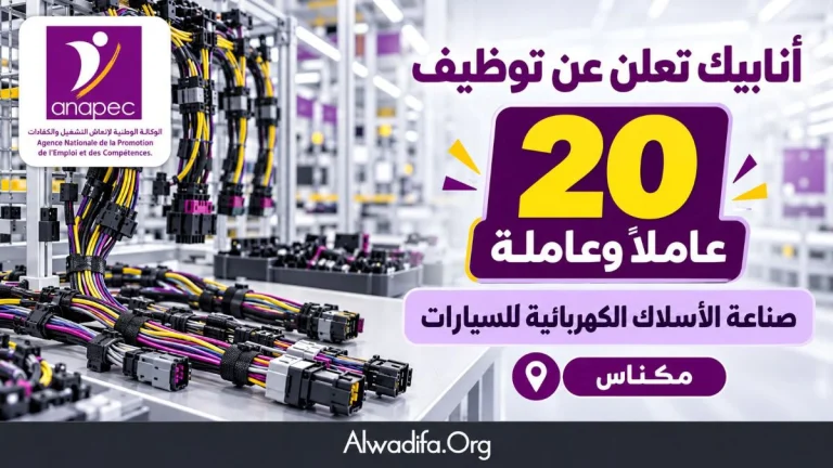 أنابيك تعلن عن توظيف 20 عاملًا وعاملة في مجال صناعة الأسلاك الكهربائية للسيارات بمكناس