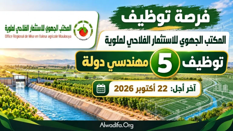 فرصة توظيف: 5 مناصب لمهندسي الدولة بالمكتب الجهوي للاستثمار الفلاحي لملوية.. الترشيح إلى غاية 22 أكتوبر 2026